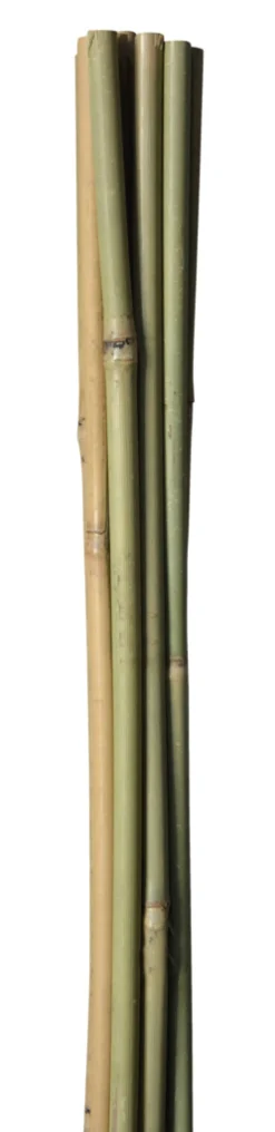 Bambuspinne - 180 cm 4 stk.