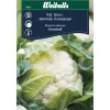 Blomkål 'Snowball'