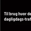 Dørmatte grå 60 x 80 cm