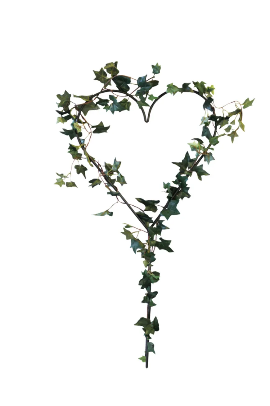 Espalier hjerteformet 39 x 79 cm - Gardenlife