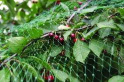Fuglenett 8 x 8 meter - Garden®