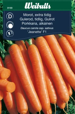 Gulrot ´Jeanette` - ekstra tidlig