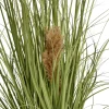 Kunstgress med ekte pampas 120 cm
