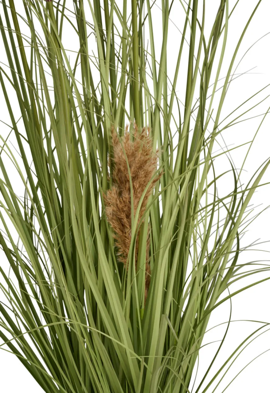 Kunstgress med ekte pampas 120 cm