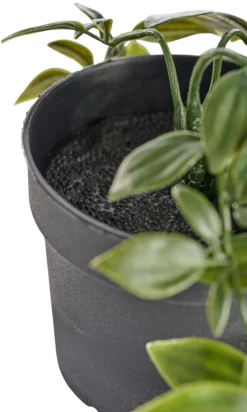 Kunstig plante i potte H70 cm innendørs - Day
