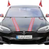 17. mai bilsett med flagg