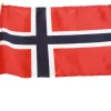 17. mai flagg 20 x 28 cm