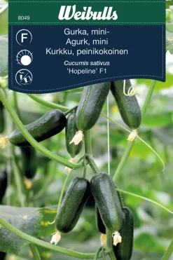 Miniagurk, 'Hopeline F1'