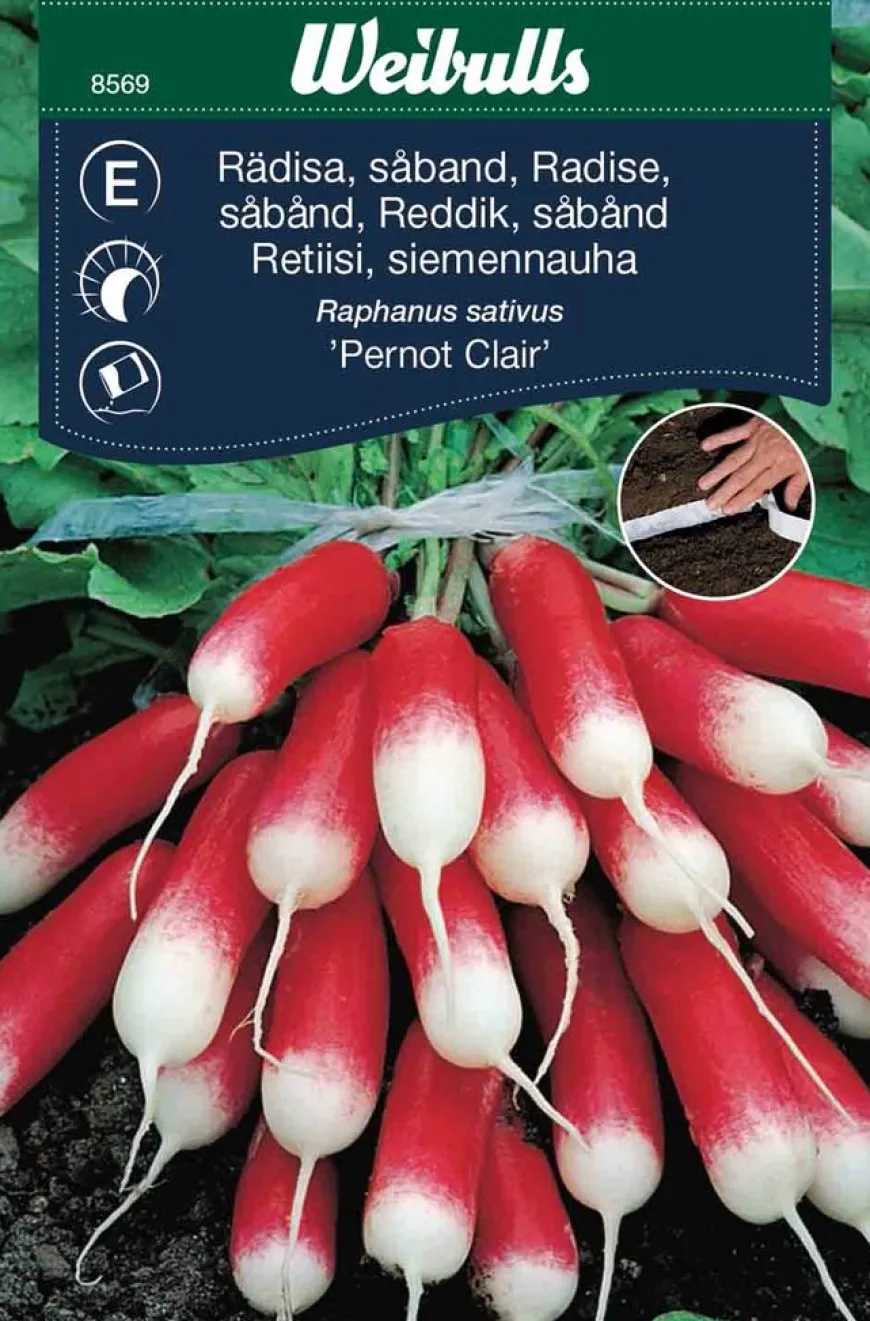 Reddik (lang såbånd) - Pernot Claire