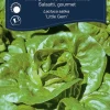 Salat, gourmet 'Little Gem'