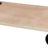 Transportplate 58 x 29 cm 200 kg