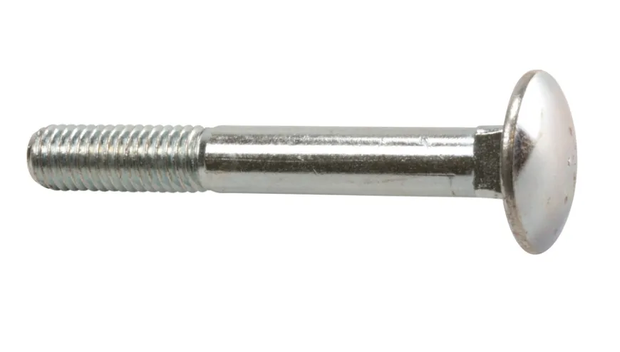 Vognbolt 10x100 mm - 4 stk.