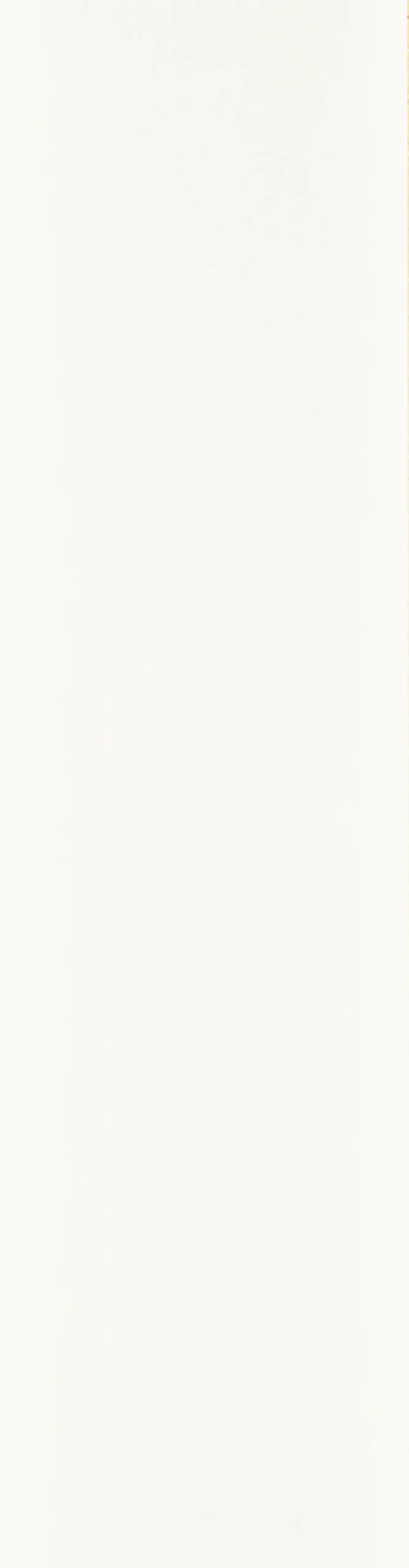 Walls2paint 12 x 620 x 2390 mm